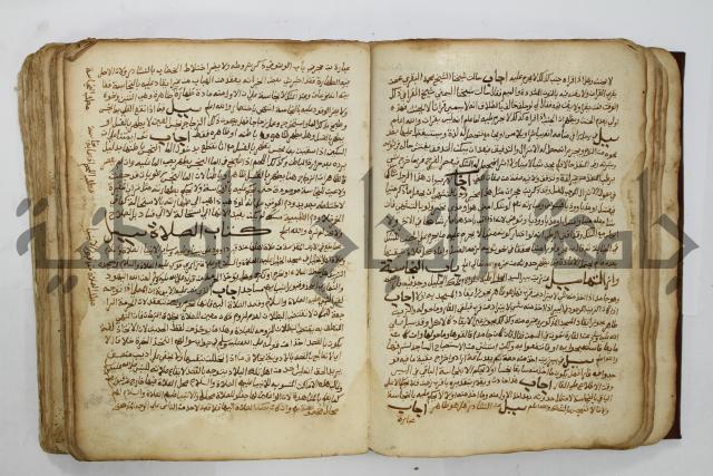 كتاب فتاوى