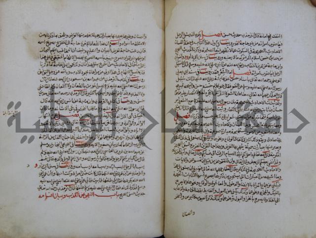 كتاب حلية الابرار وشعار الاخيار في تحقيق الدعوات والاذكار المستحبة في الليل والنهار