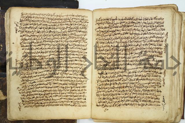 كتاب فتاوى شيخ الإسلام والمسلمين العالم العامل الشيخ محمد الخليلي الشافعي