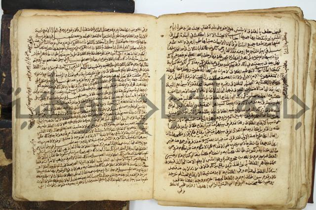 كتاب فتاوى شيخ الإسلام والمسلمين العالم العامل الشيخ محمد الخليلي الشافعي