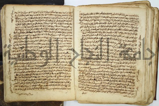 كتاب فتاوى شيخ الإسلام والمسلمين العالم العامل الشيخ محمد الخليلي الشافعي