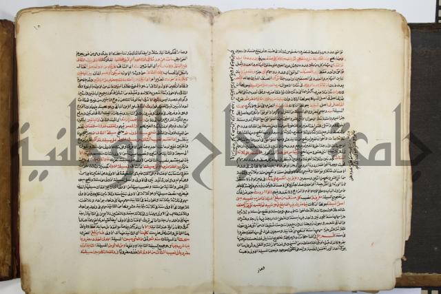 شرح الرملي