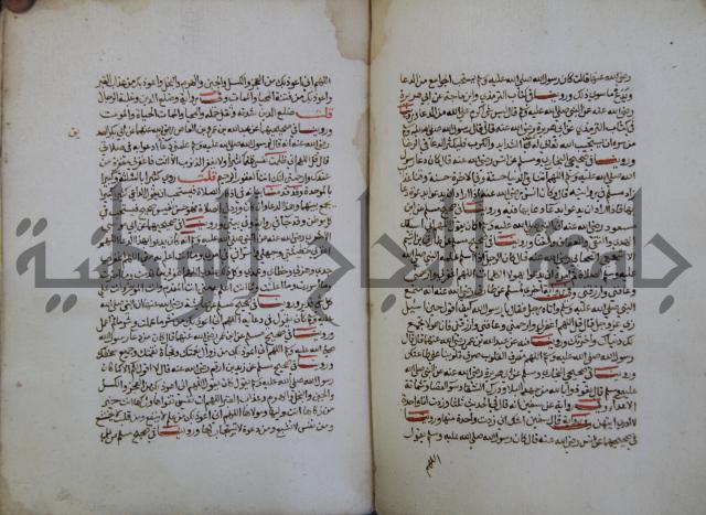 كتاب حلية الابرار وشعار الاخيار في تحقيق الدعوات والاذكار المستحبة في الليل والنهار
