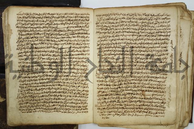 كتاب فتاوى شيخ الإسلام والمسلمين العالم العامل الشيخ محمد الخليلي الشافعي
