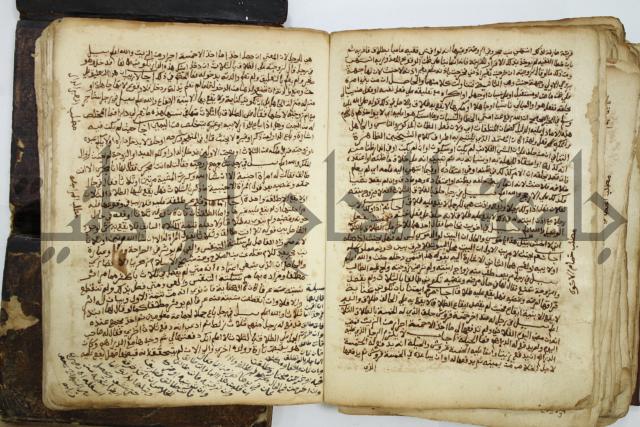 كتاب فتاوى شيخ الإسلام والمسلمين العالم العامل الشيخ محمد الخليلي الشافعي