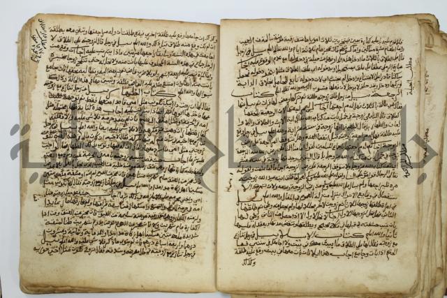 كتاب فتاوى شيخ الإسلام والمسلمين العالم العامل الشيخ محمد الخليلي الشافعي