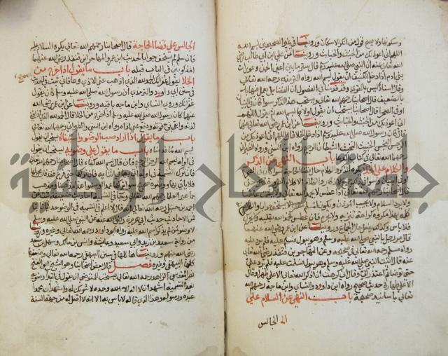 كتاب حلية الابرار وشعار الاخيار في تحقيق الدعوات والاذكار المستحبة في الليل والنهار