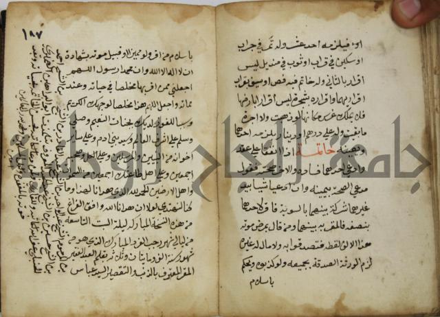 دليل الطالب لنيل المطالب في الفقه على مذهب الامام الاول