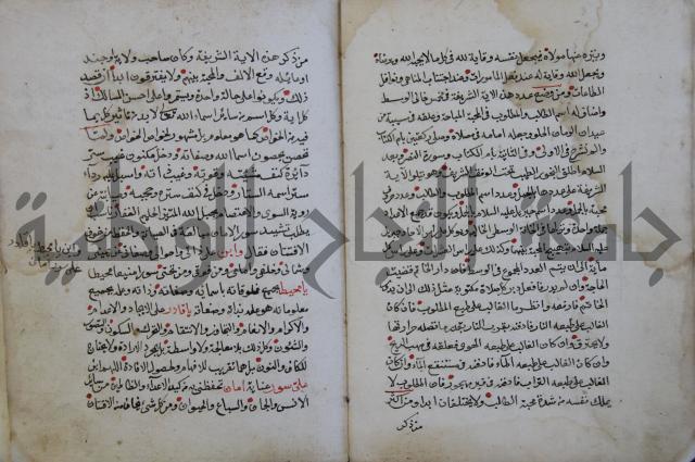 الدر الثمين لشرح الدور الاعلى لسيدي محي الدين