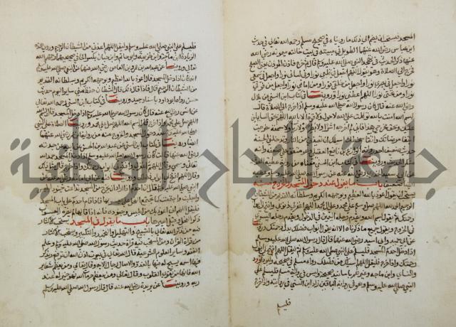 كتاب حلية الابرار وشعار الاخيار في تحقيق الدعوات والاذكار المستحبة في الليل والنهار