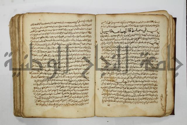 كتاب فتاوى