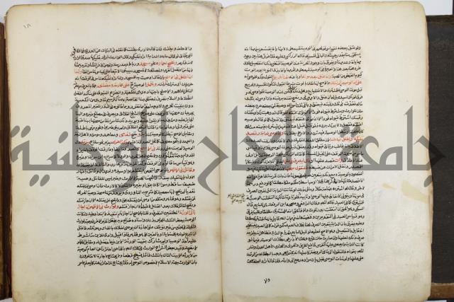 شرح الرملي