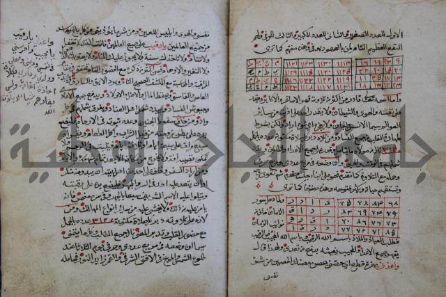 الدر الثمين لشرح الدور الاعلى لسيدي محي الدين