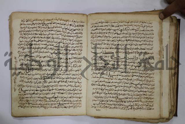 كتاب فتاوى شيخ الإسلام والمسلمين العالم العامل الشيخ محمد الخليلي الشافعي