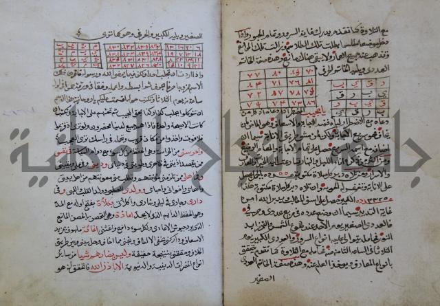 الدر الثمين لشرح الدور الاعلى لسيدي محي الدين