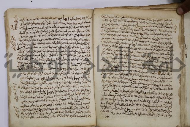 كتاب فتاوى شيخ الإسلام والمسلمين العالم العامل الشيخ محمد الخليلي الشافعي