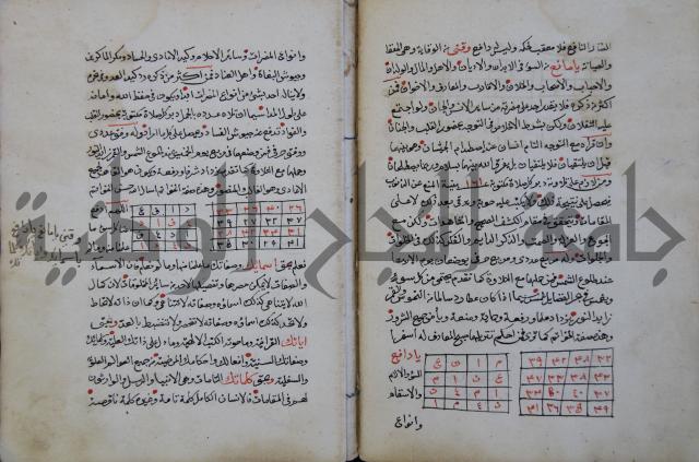الدر الثمين لشرح الدور الاعلى لسيدي محي الدين