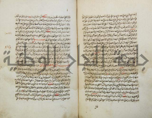 كتاب حلية الابرار وشعار الاخيار في تحقيق الدعوات والاذكار المستحبة في الليل والنهار