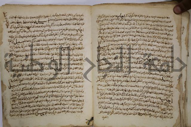 كتاب فتاوى شيخ الإسلام والمسلمين العالم العامل الشيخ محمد الخليلي الشافعي