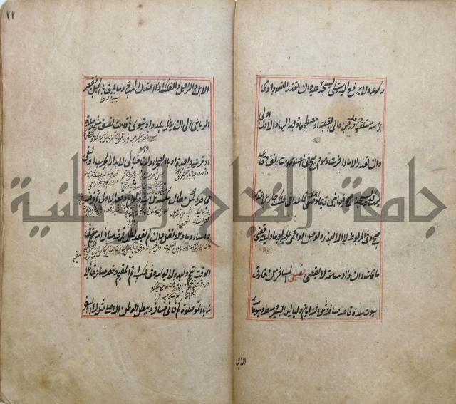 الوقاية الرداتية في مسايل الهداية 