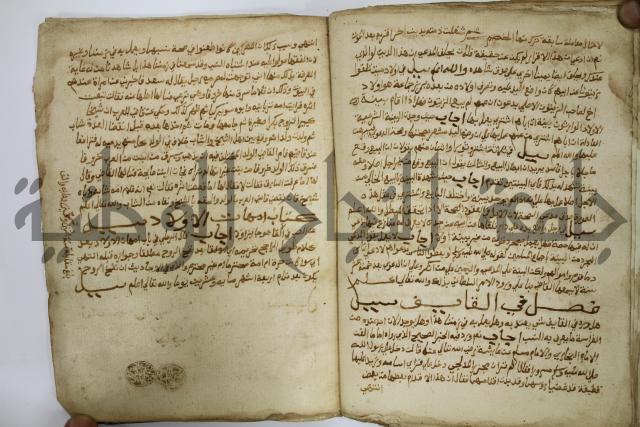 كتاب فتاوى شيخ الإسلام والمسلمين العالم العامل الشيخ محمد الخليلي الشافعي