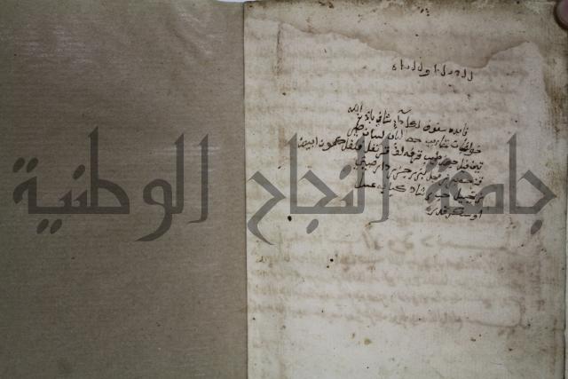 كتاب فتاوى شيخ الإسلام والمسلمين العالم العامل الشيخ محمد الخليلي الشافعي