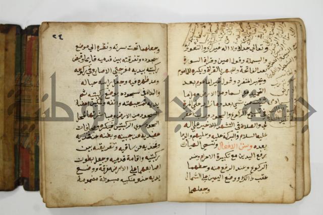 دليل الطالب لنيل المطالب في الفقه على مذهب الامام الاول