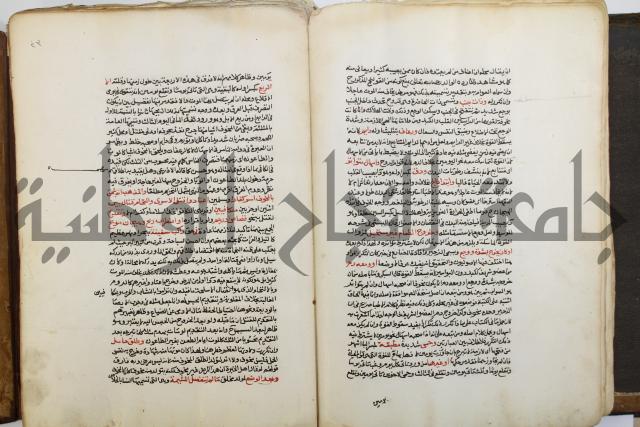 شرح الرملي
