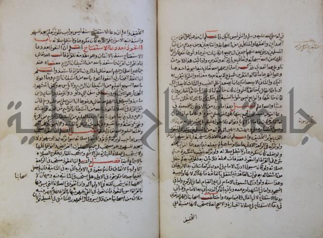 كتاب حلية الابرار وشعار الاخيار في تحقيق الدعوات والاذكار المستحبة في الليل والنهار