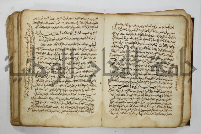 كتاب فتاوى شيخ الإسلام والمسلمين العالم العامل الشيخ محمد الخليلي الشافعي