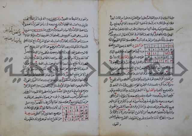 الدر الثمين لشرح الدور الاعلى لسيدي محي الدين