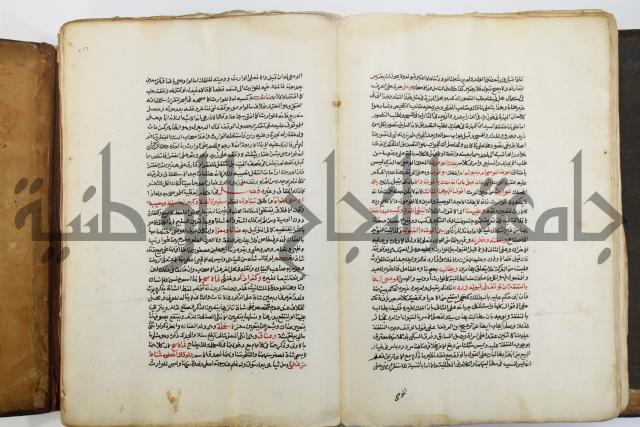 شرح الرملي