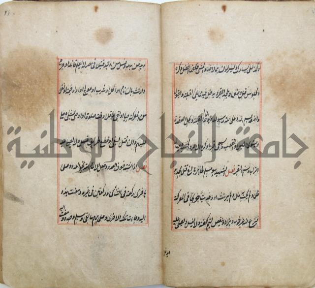 الوقاية الرداتية في مسايل الهداية 