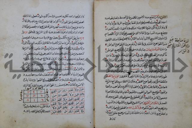 الدر الثمين لشرح الدور الاعلى لسيدي محي الدين