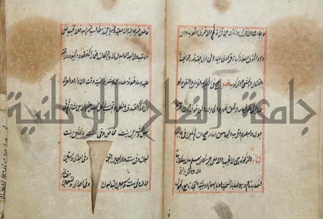 الوقاية الرداتية في مسايل الهداية 