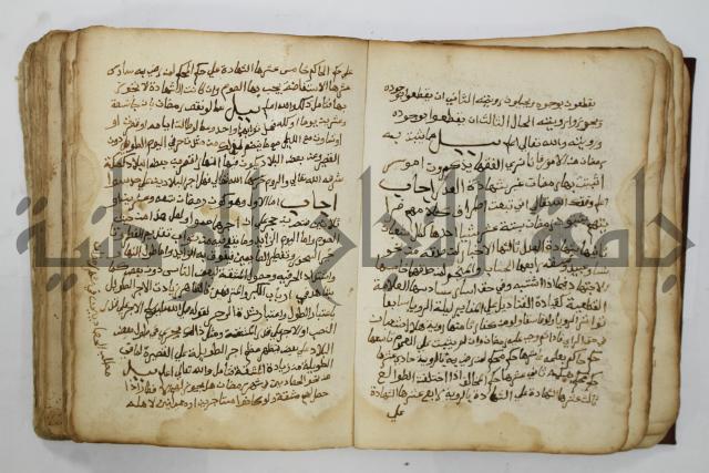 كتاب فتاوى شيخ الإسلام والمسلمين العالم العامل الشيخ محمد الخليلي الشافعي