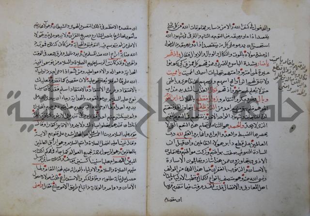 الدر الثمين لشرح الدور الاعلى لسيدي محي الدين