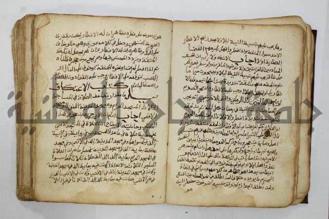 كتاب فتاوى شيخ الإسلام والمسلمين العالم العامل الشيخ محمد الخليلي الشافعي