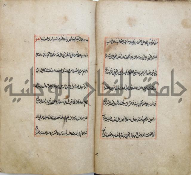 الوقاية الرداتية في مسايل الهداية 