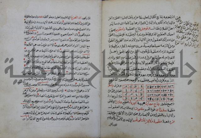 الدر الثمين لشرح الدور الاعلى لسيدي محي الدين