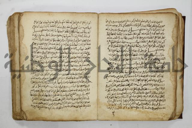 كتاب فتاوى شيخ الإسلام والمسلمين العالم العامل الشيخ محمد الخليلي الشافعي