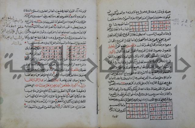 الدر الثمين لشرح الدور الاعلى لسيدي محي الدين