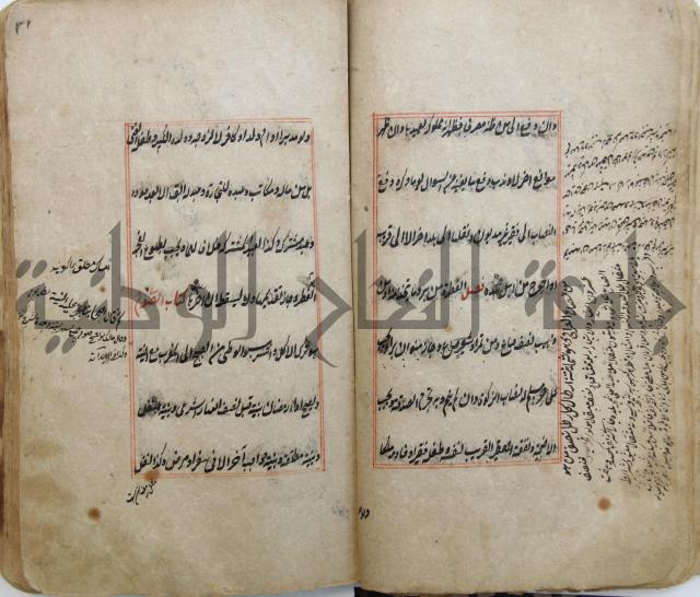 الوقاية الرداتية في مسايل الهداية 