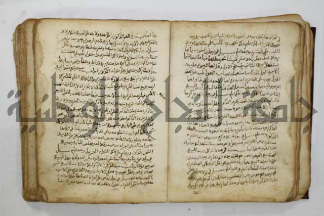 كتاب فتاوى شيخ الإسلام والمسلمين العالم العامل الشيخ محمد الخليلي الشافعي