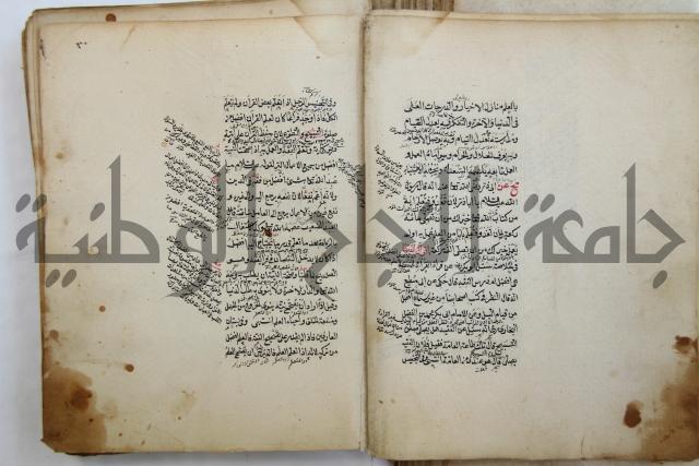 الطريقة المحمدية