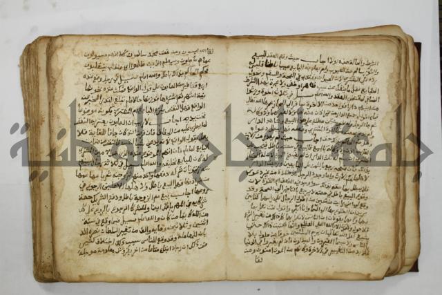 كتاب فتاوى شيخ الإسلام والمسلمين العالم العامل الشيخ محمد الخليلي الشافعي