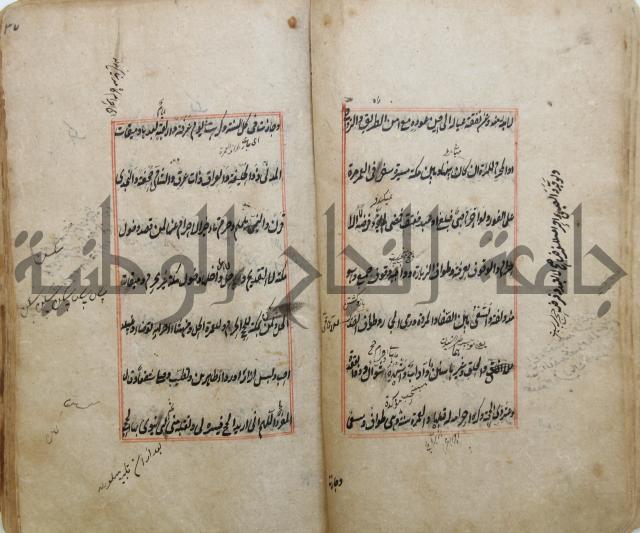 الوقاية الرداتية في مسايل الهداية 