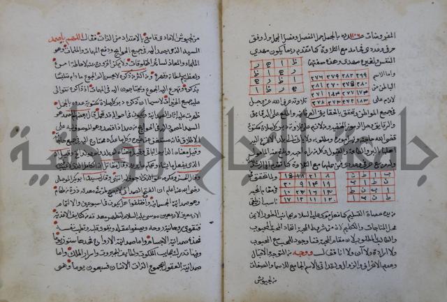 الدر الثمين لشرح الدور الاعلى لسيدي محي الدين