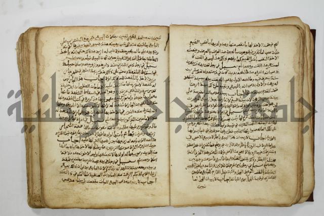 كتاب فتاوى شيخ الإسلام والمسلمين العالم العامل الشيخ محمد الخليلي الشافعي