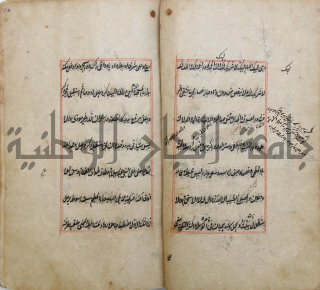 الوقاية الرداتية في مسايل الهداية 